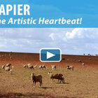 The Artistic Heartbeat of Cape Agulhas